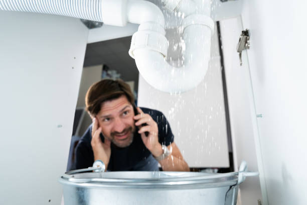 Best Drain Cleaning Services  in New Hampton, IA